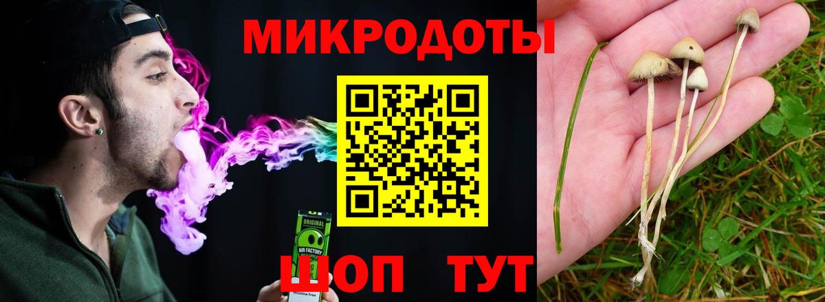 Дербент  Псилоцибиновые грибы Psilocybine cubensis  Вход с VPN 