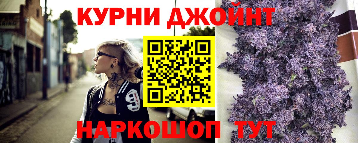 Бошки Шишки планчик Дербент